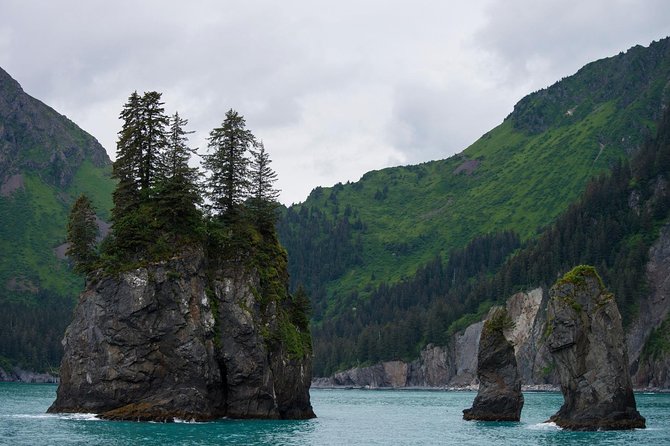Kenai Fjords and Resurrection Bay Half-Day Wildlife Cruise - Resurrection Bay wildlife, Cape Resurrection, and how to scan efficiently