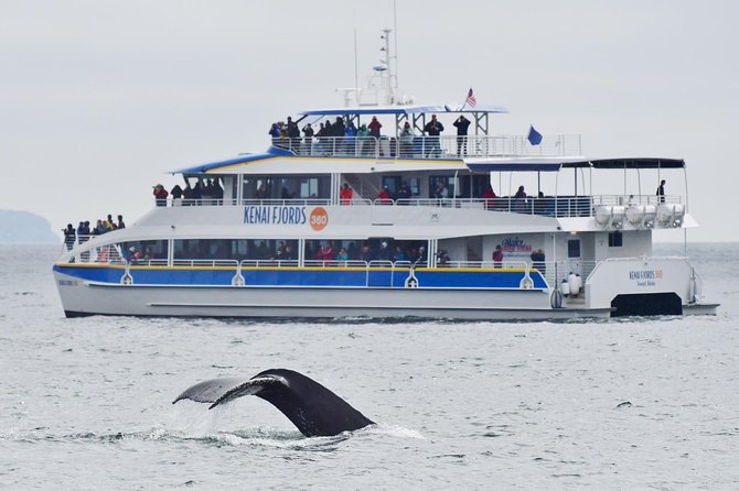 Kenai Fjords National Park Glacier & Wildlife Cruise - Seward departures to Kenai Fjords: how this 6-hour day really flows