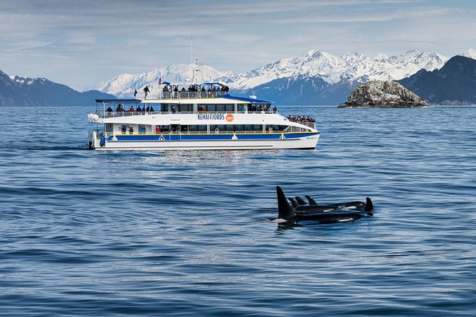 Kenai Fjords National Park Glacier & Wildlife Cruise - Is this cruise worth $265.23? The value math and who it fits