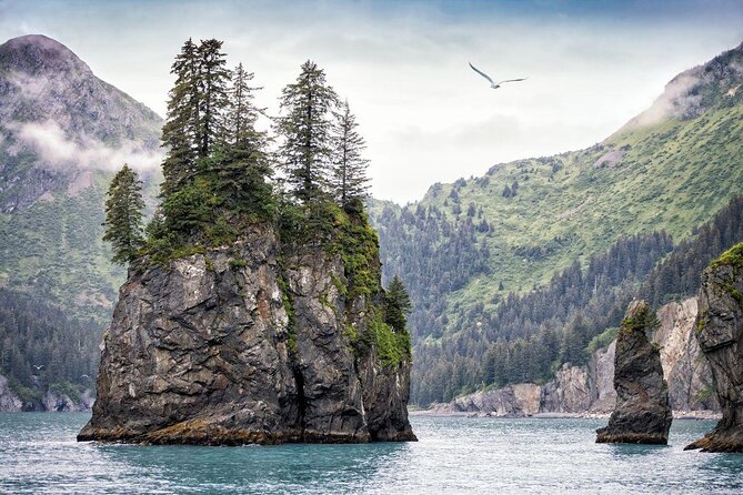 Kenai Fjords National Park Glacier & Wildlife Tour from Seward - Quick hits before you pick your departure