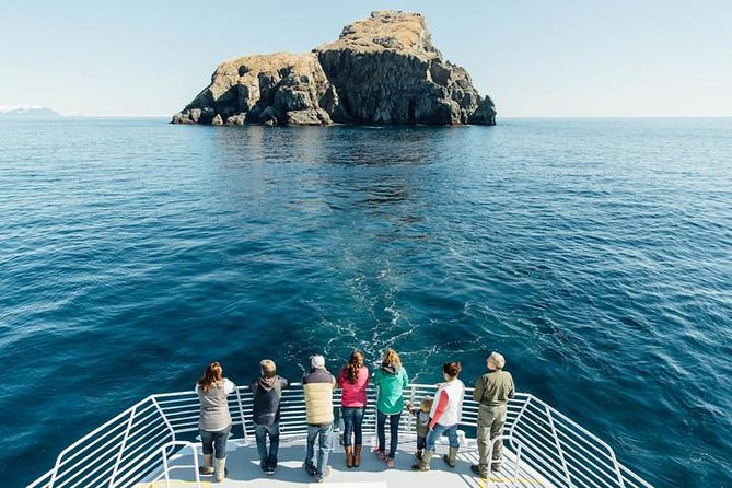 Kenai Fjords National Park Glacier & Wildlife Tour from Seward - Why this Kenai Fjords day feels different from a basic sightseeing cruise