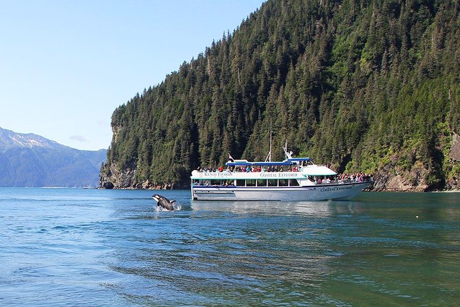Kenai Fjords National Park Glacier & Wildlife Tour from Seward - Alaska Maritime National Wildlife Refuge: seabird rookeries and the puffin show
