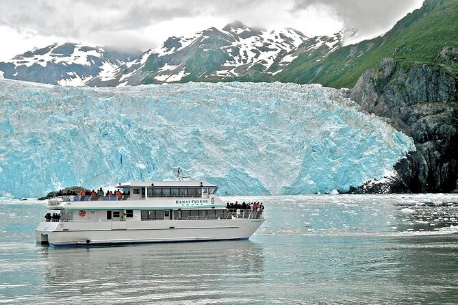 Kenai Fjords National Park Glacier & Wildlife Tour from Seward - Wildlife spotting odds: whales, seals, otters, and the bird mix
