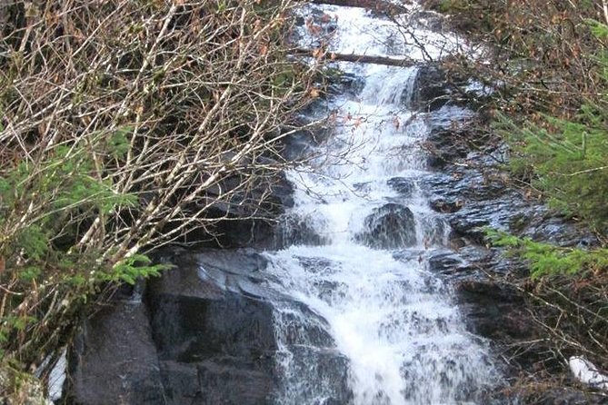 Ketchikan All In One - A Quick Cascade Photo Stop: Small Window, Good Pictures