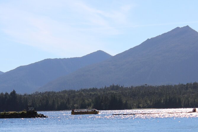 Ketchikan Duck Tour - The harbor splash: where the views and wildlife moments happen