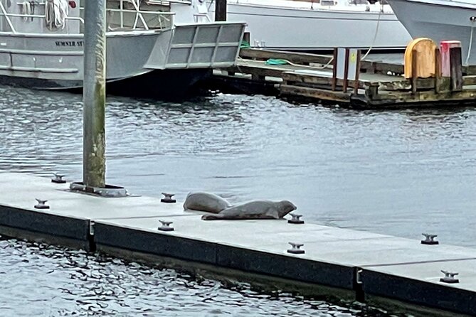 Ketchikan Duck Tour - Weather, cancellations, and what to do if the forecast looks iffy