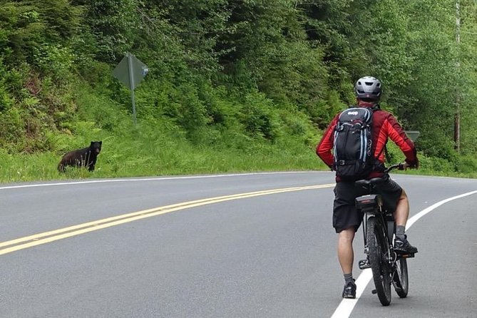 Ketchikan Electric Bike and Rain Forest Hike Ecotour - Road to Nowhere first, rainforest second