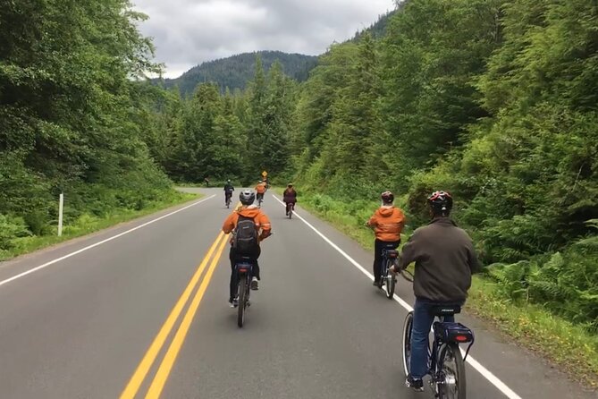 Ketchikan Electric Bike and Rain Forest Hike Ecotour - Wildlife spotting: what you can realistically hope for