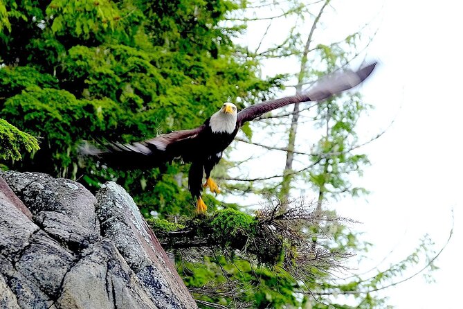 Ketchikan Electric Bike and Rain Forest Hike Ecotour - Food and rain gear: small details that make the tour feel cared for