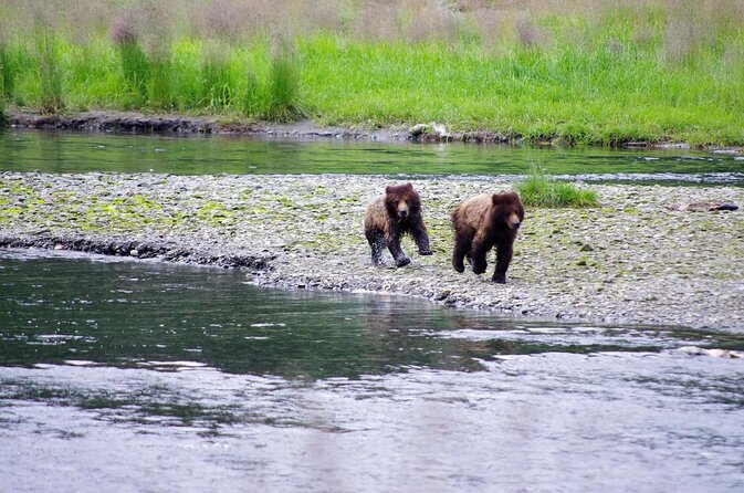 Ketchikan Kayak Eco-Tour - Key takeaways before you go