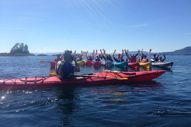 Ketchikan Shore Excursion: Eagle Island Sea Kayaking - Wildlife spotting: what you can expect to see from the kayak