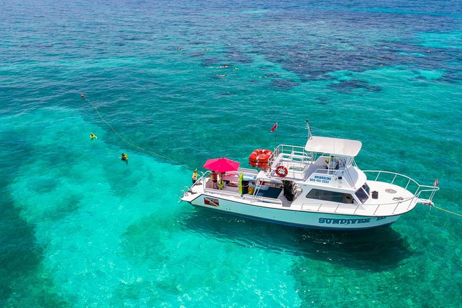 Key Largo Snorkeling Tour - rental mask, fins and vest INCLUDED - Why This Tour Feels Beginner-Friendly Without Being Rushed