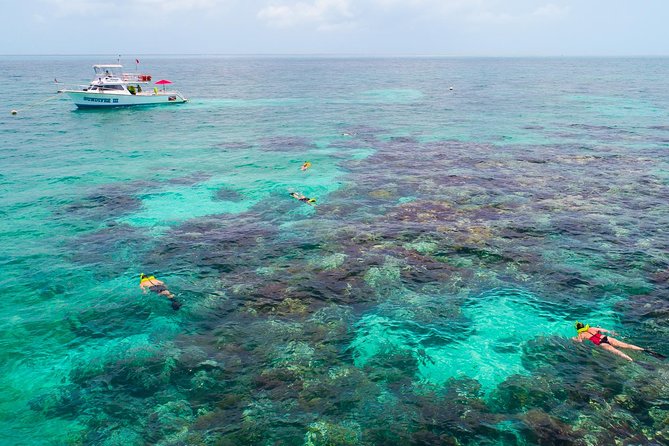 Key Largo Snorkeling Tour - rental mask, fins and vest INCLUDED - The Full Flow From Sundiver Station to the Reef