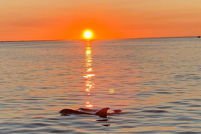 Key Largo Sunset Cruise - Key Largo Sunset Cruise: Why This Florida Bay Ride Feels Worth It