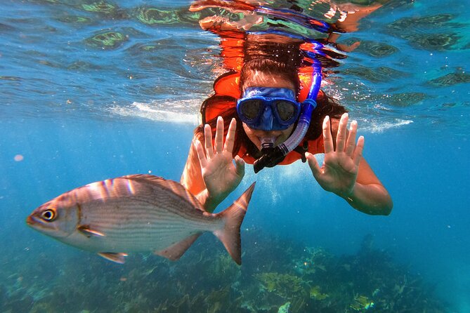 Key Largo Two Reef Snorkel Tour - All Snorkel Equipment Included! - Why Two Reefs in Key Largo Works Better Than One