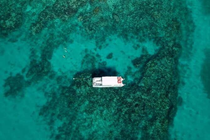 Key Largo Two Reef Snorkel Tour - All Snorkel Equipment Included! - Stop 1 at Christ of the Deep: What You Can Expect to See