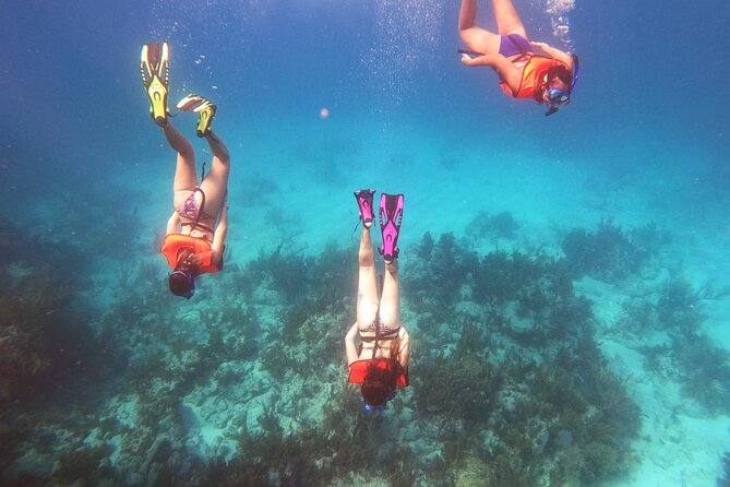 Key Largo Two Reef Snorkel Tour - All Snorkel Equipment Included! - Timing and Where You Start: Garden Cove Dr Check-In