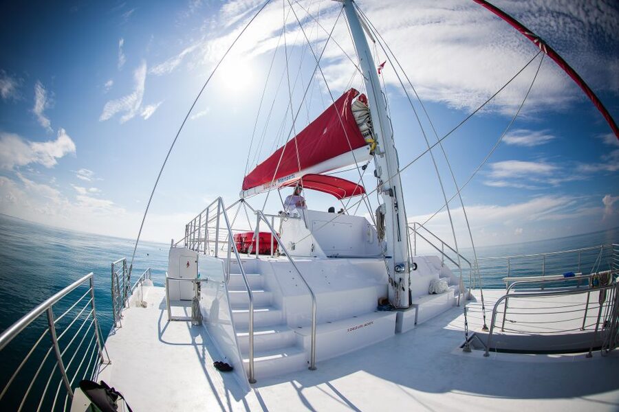 Key West: 3-Hour Afternoon Reef Snorkel with Drinks - Key West Reef Snorkel, The Part That Makes It Worth Your Time