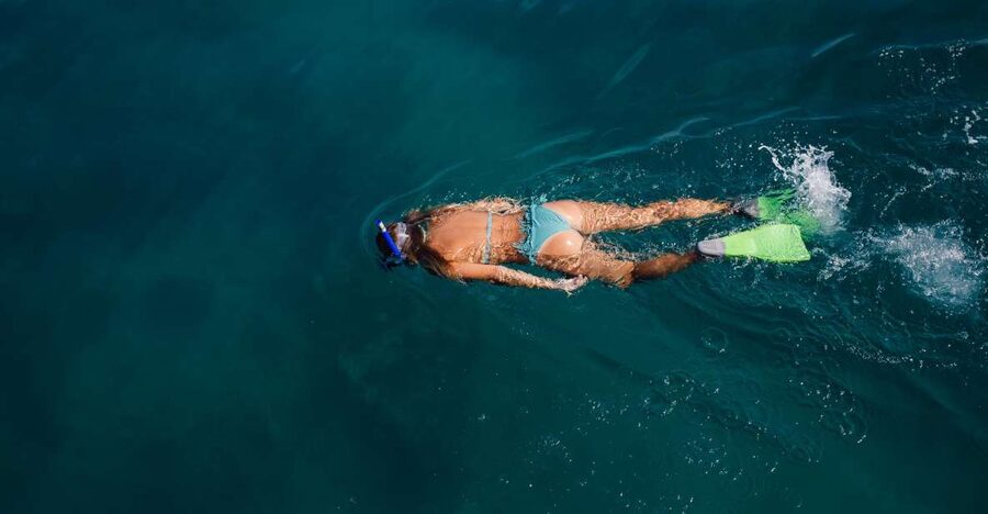 Key West: 3-Hour Afternoon Reef Snorkel with Drinks - Snorkeling The World’s Third-Largest Living Coral Reef