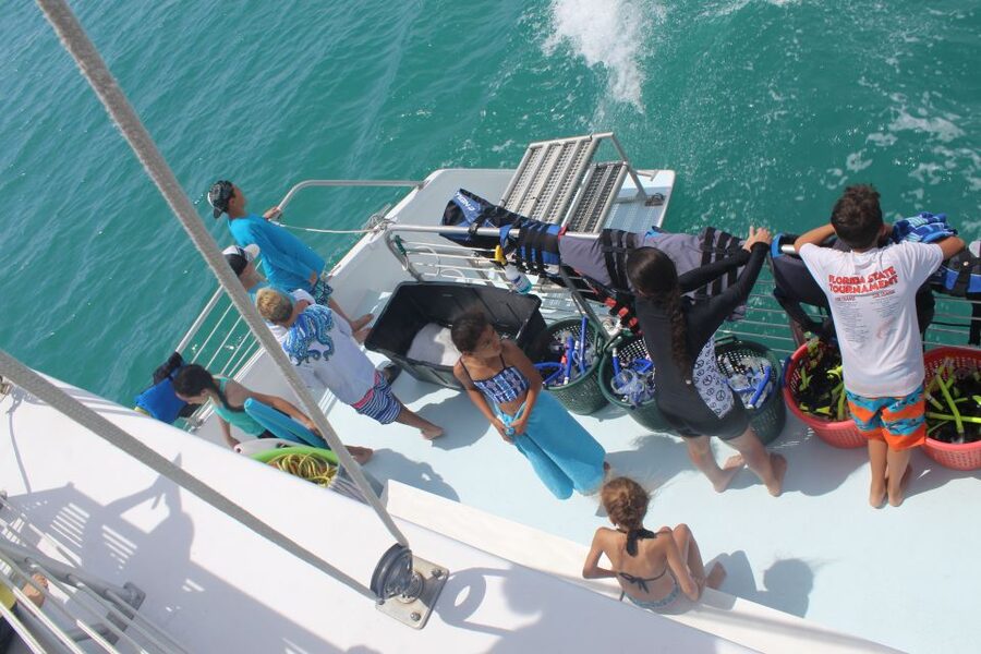 Key West: 3-Hour Afternoon Reef Snorkel with Drinks - Marine Life Highlights, Including Sharks and Dolphins