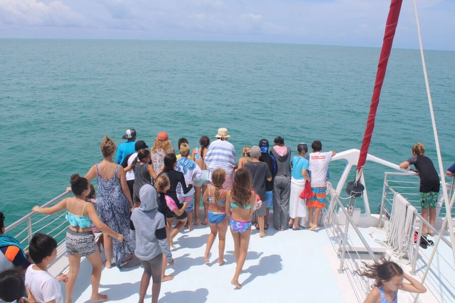 Key West: 3-Hour Afternoon Reef Snorkel with Drinks - Price and Value: $59 for Reef Access Plus a Built-In Party