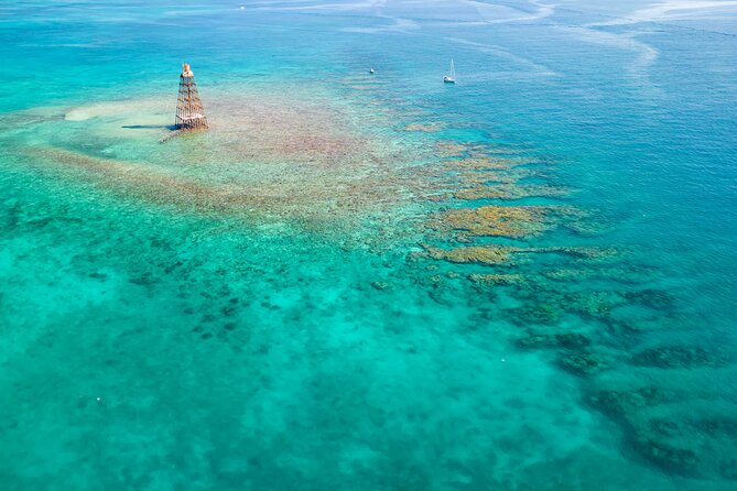 Key West Afternoon Reef Snorkeling with Open Bar - Key highlights worth choosing
