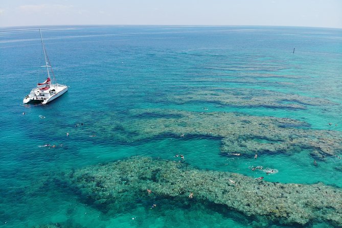Key West Afternoon Reef Snorkeling with Open Bar - Gear, safety, and the small details that make or break your snorkeling