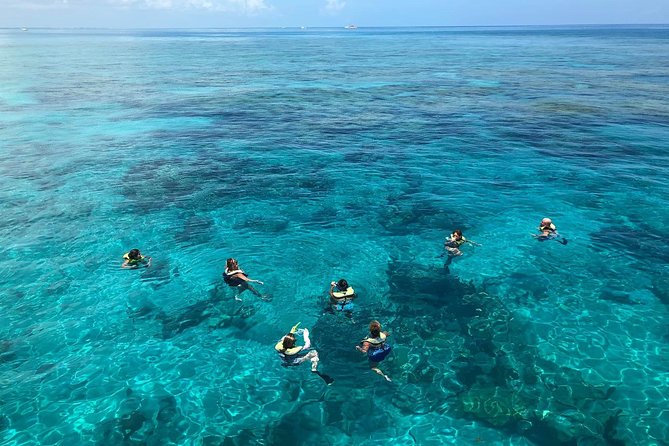 Key West Afternoon Reef Snorkeling with Open Bar - Crowds and weather: how to protect your comfort