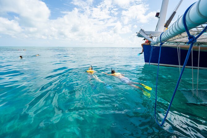 Key West Afternoon Snorkel Sail with Unlimited Cocktails! - The Open Bar Reality: What You’ll Actually Drink and When