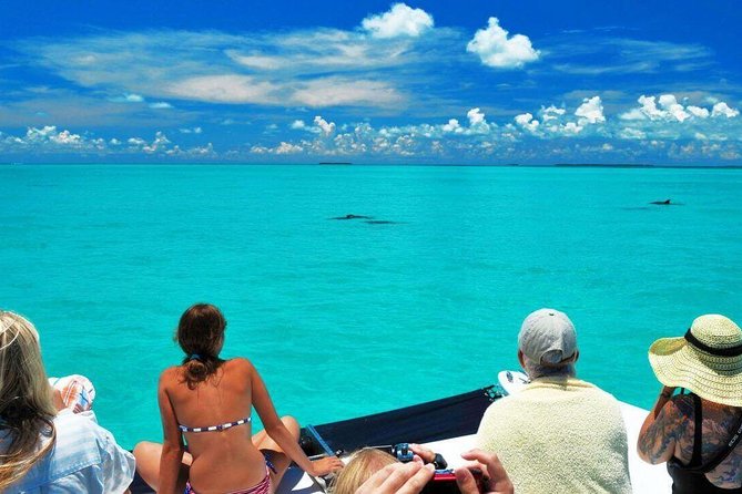 Key West Day Trip from Miami with Activities - A Smooth Southbound Start From Miami Hotels (and the long-day reality)