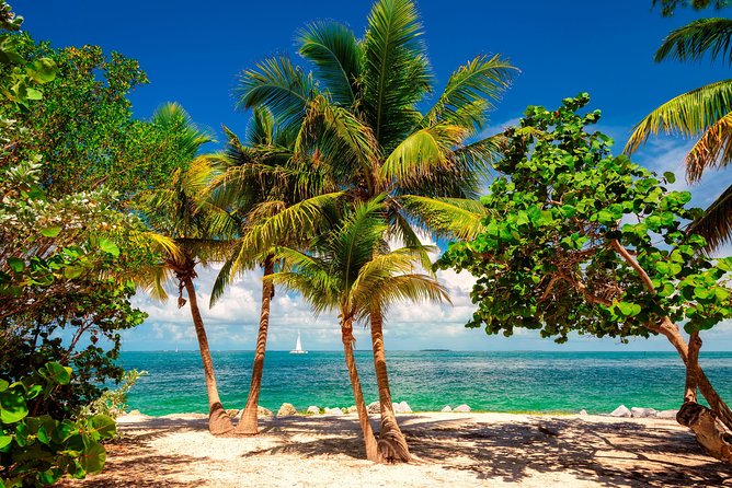 Key West Day Trip from Miami with Activities - Who This Day Trip Fits Best (and who should skip it)