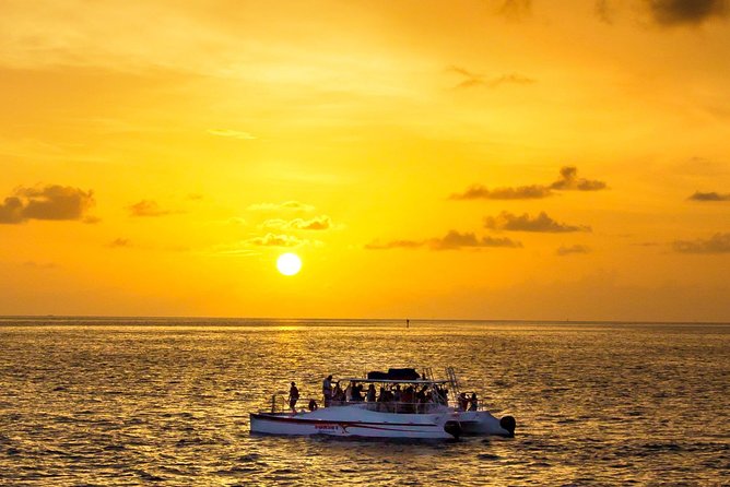 Key West Dolphin and Snorkel Experience - 201 William St Departure: A Smooth, Short Day on the Water