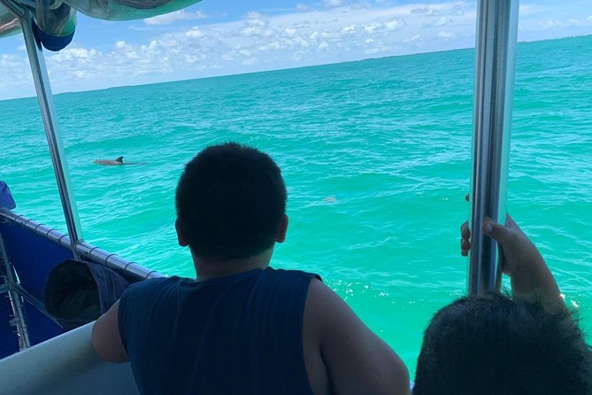 Key West Dolphin Watch and Snorkel Tour - Eco Adventure - The boat experience: comfort, shade, and the drink moment