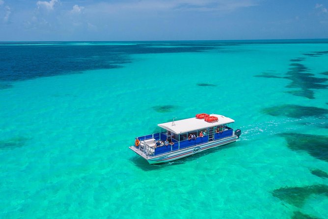 Key West Dolphin Watch and Snorkel Tour - Eco Adventure - Responsible dolphin watching: the Dolphin SMART point