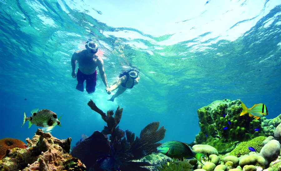 Key West: Dolphin Watching and Snorkeling Eco Cruise Tour - Key highlights that make this tour worth your time