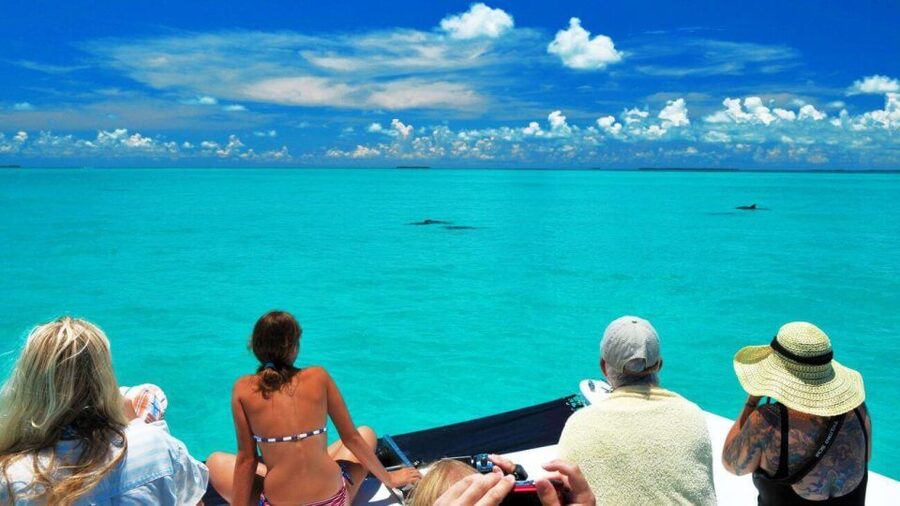 Key West: Dolphin Watching and Snorkeling Eco Cruise Tour - Meeting at Fury Key West Watersports, then out into Captains Corner operation