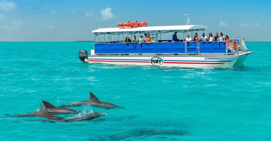 Key West: Dolphin Watching and Snorkeling Eco Cruise Tour - Snorkeling at the Key West Wildlife Refuge: gear included, swim required