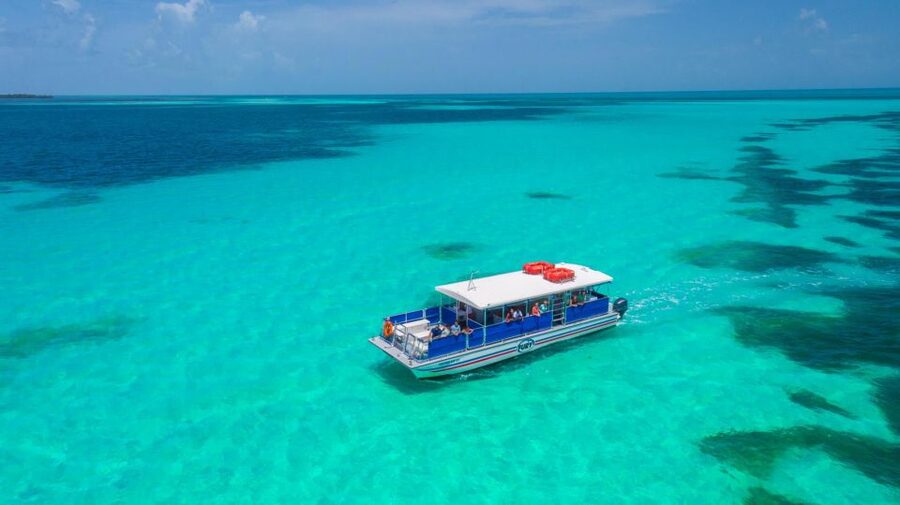 Key West: Dolphin Watching and Snorkeling Eco Cruise Tour - My booking advice: when to say yes