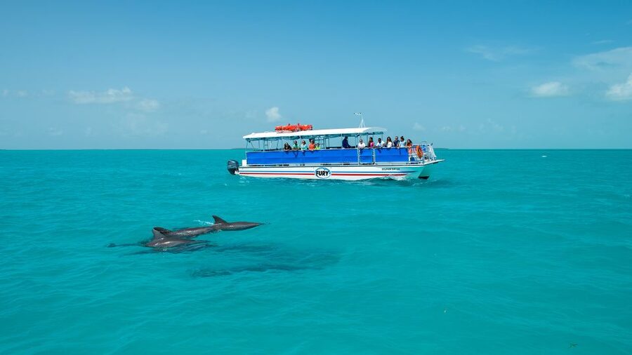 Key West: Dolphin Watching and Snorkeling Eco Cruise Tour - FAQ