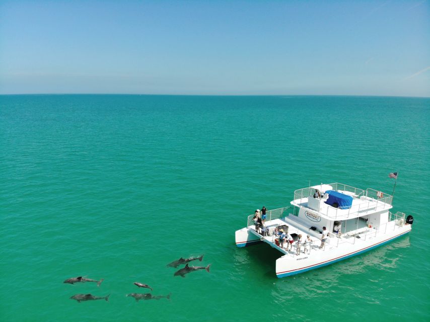 Key West: Dolphin Watching and Snorkeling Sunset Cruise - Key highlights to know before you go