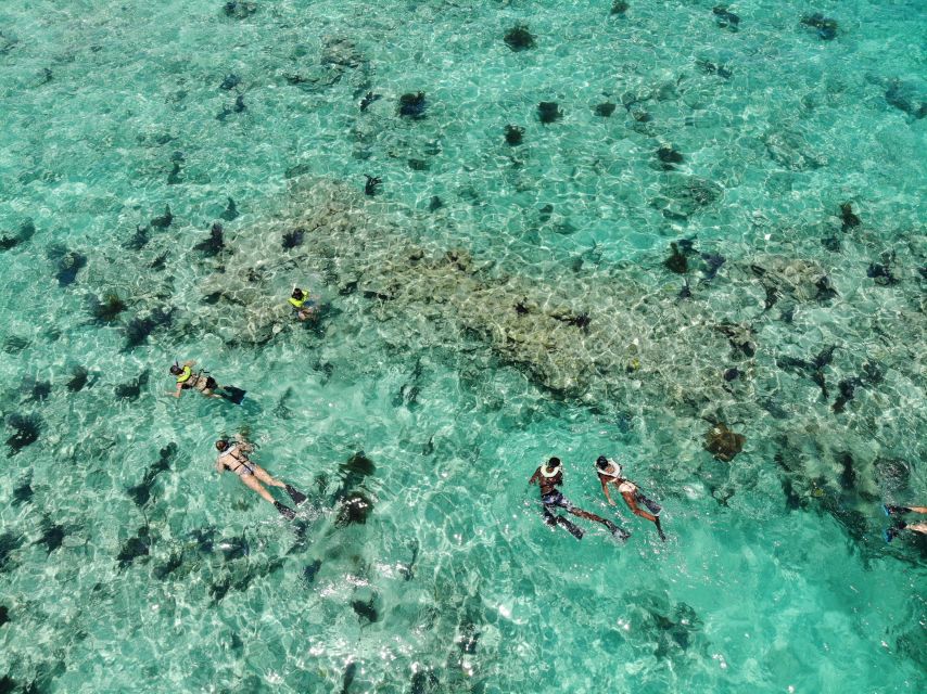 Key West: Dolphin Watching and Snorkeling Sunset Cruise - Why this Key West sunset cruise feels like a good deal at $79