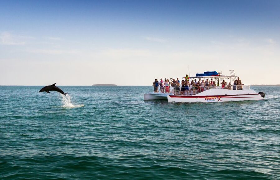 Key West: Dolphin Watching and Snorkeling Sunset Cruise - Snorkeling the reef: what you might see, plus what can go wrong