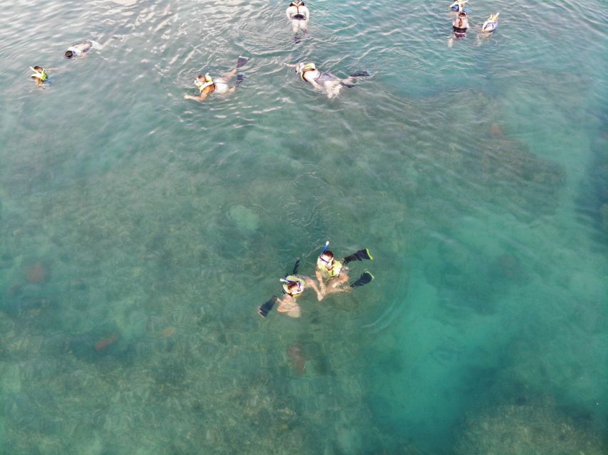 Key West: Dolphin Watching and Snorkeling Sunset Cruise - The 45-minute rhythm in the water (and how to make it count)