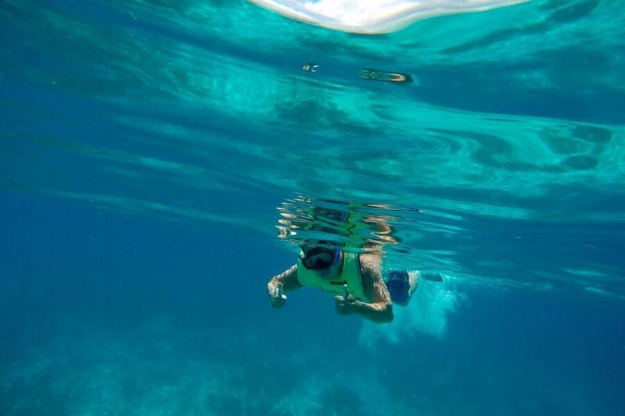 Key West: Dolphin Watching and Snorkeling Sunset Cruise - Sunset cruise return: the cold draft beer moment is real motivation