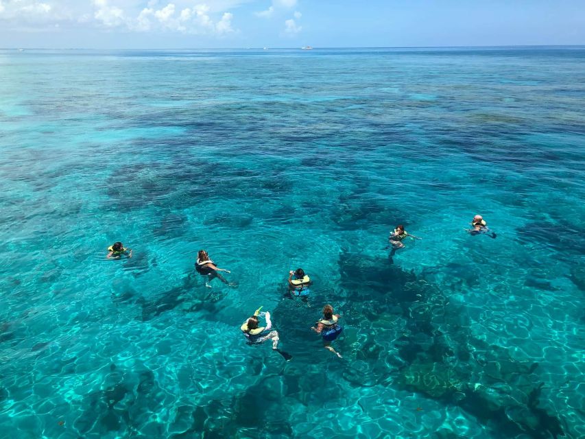 Key West: Dolphin Watching and Snorkeling Sunset Cruise - Price and value: what $79 actually buys you
