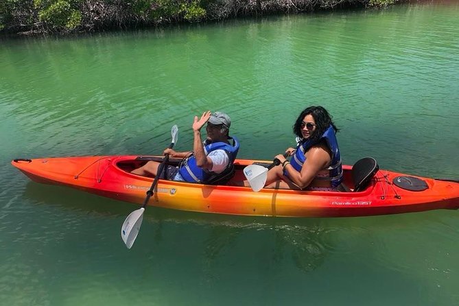Key West Mangrove Kayak Eco Tour - Why Key West Mangroves Beat Most Typical Shore Excursions