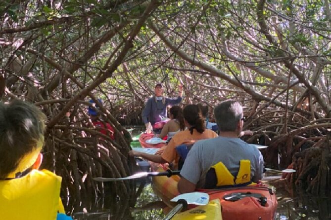 Key West Mangrove Kayak Eco Tour - Guides Make the Difference: Brett, Heather, Rachel, Bethany and More