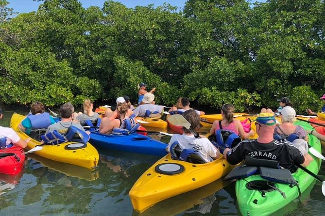 Key West Mangrove Kayak Eco Tour - Single vs Double Kayaks, Group Size, and Pacing for Real People