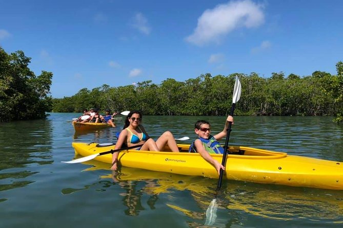 Key West Mangrove Kayak Eco Tour - The 2-Hour Mangrove Paddle: What You Experience on the Water