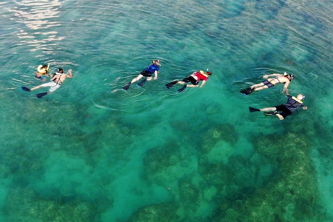 Key West Reef Morning Snorkeling with Breakfast and Mimosas - Breakfast Before the Reef: Fuel That Actually Helps
